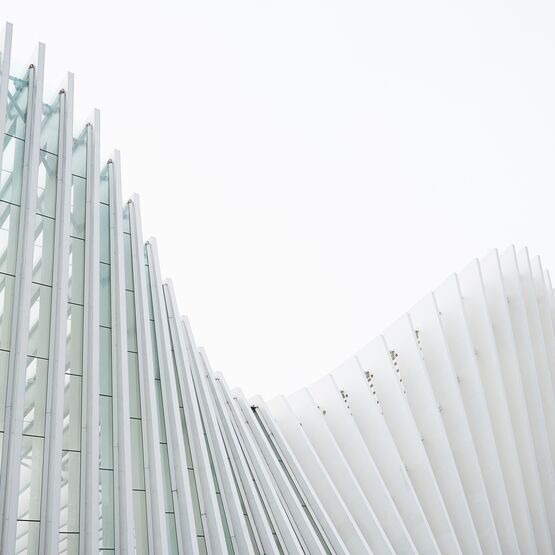 Luca bravo 198062 unsplash